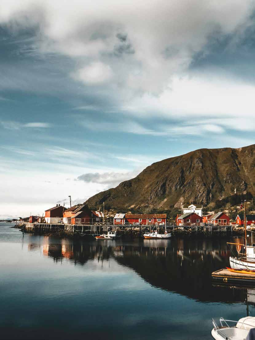 The photo is a visualization of the text in the theme.