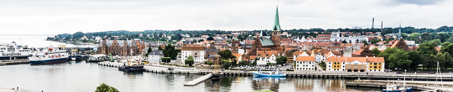 Houses in the north of Denmark