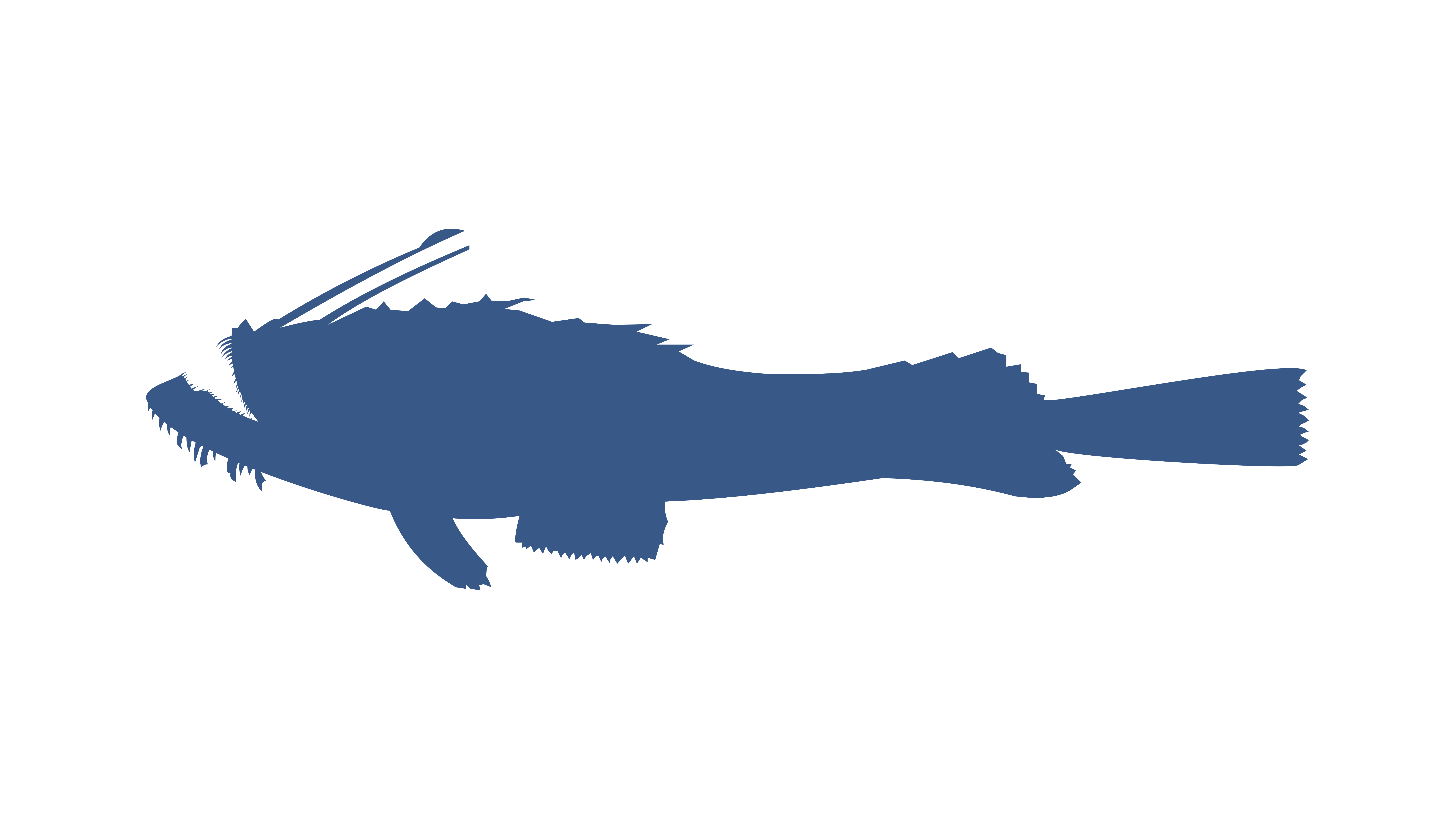Anglerfish.png
