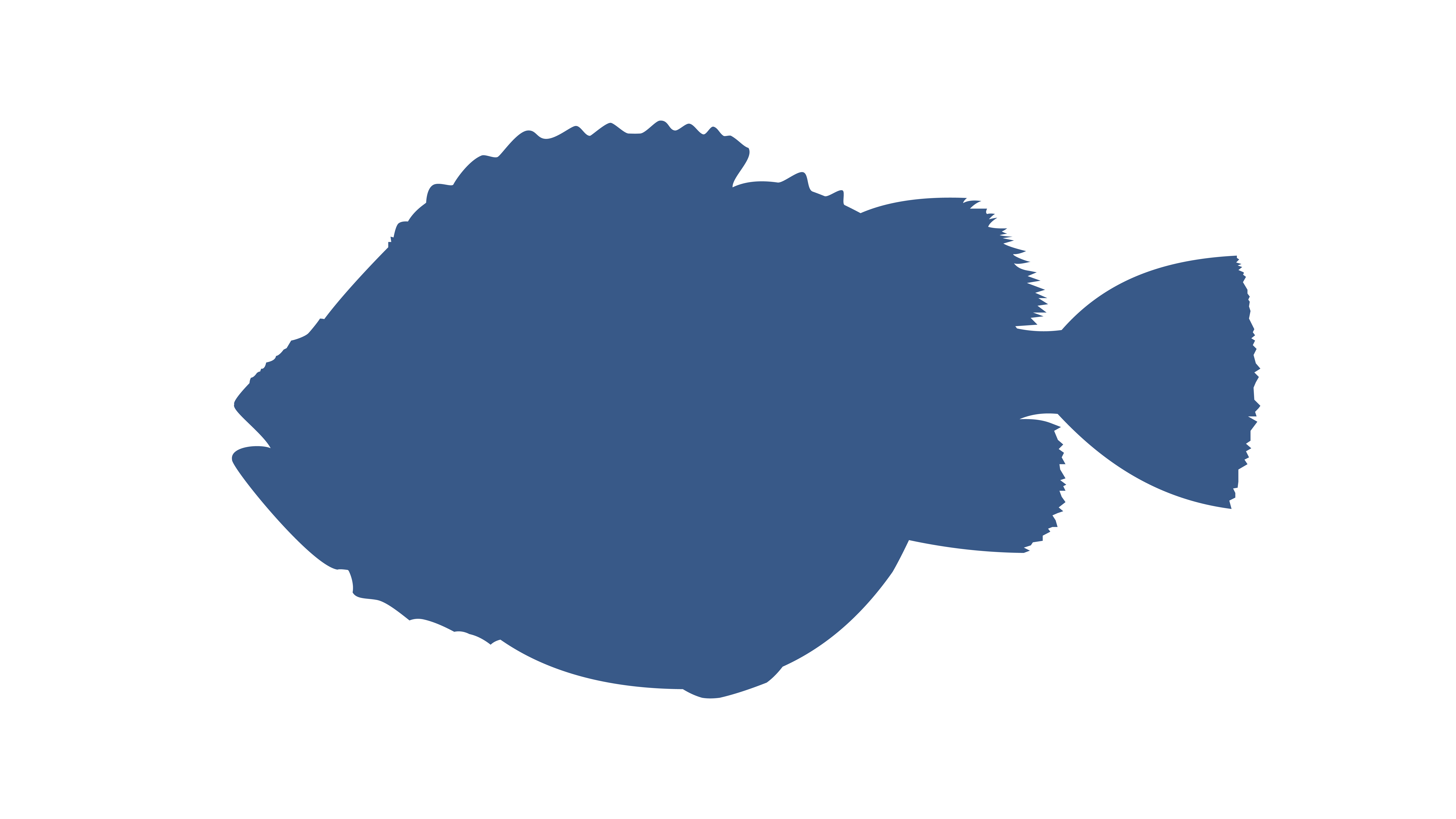 Lumpfish or lumpsucker.png