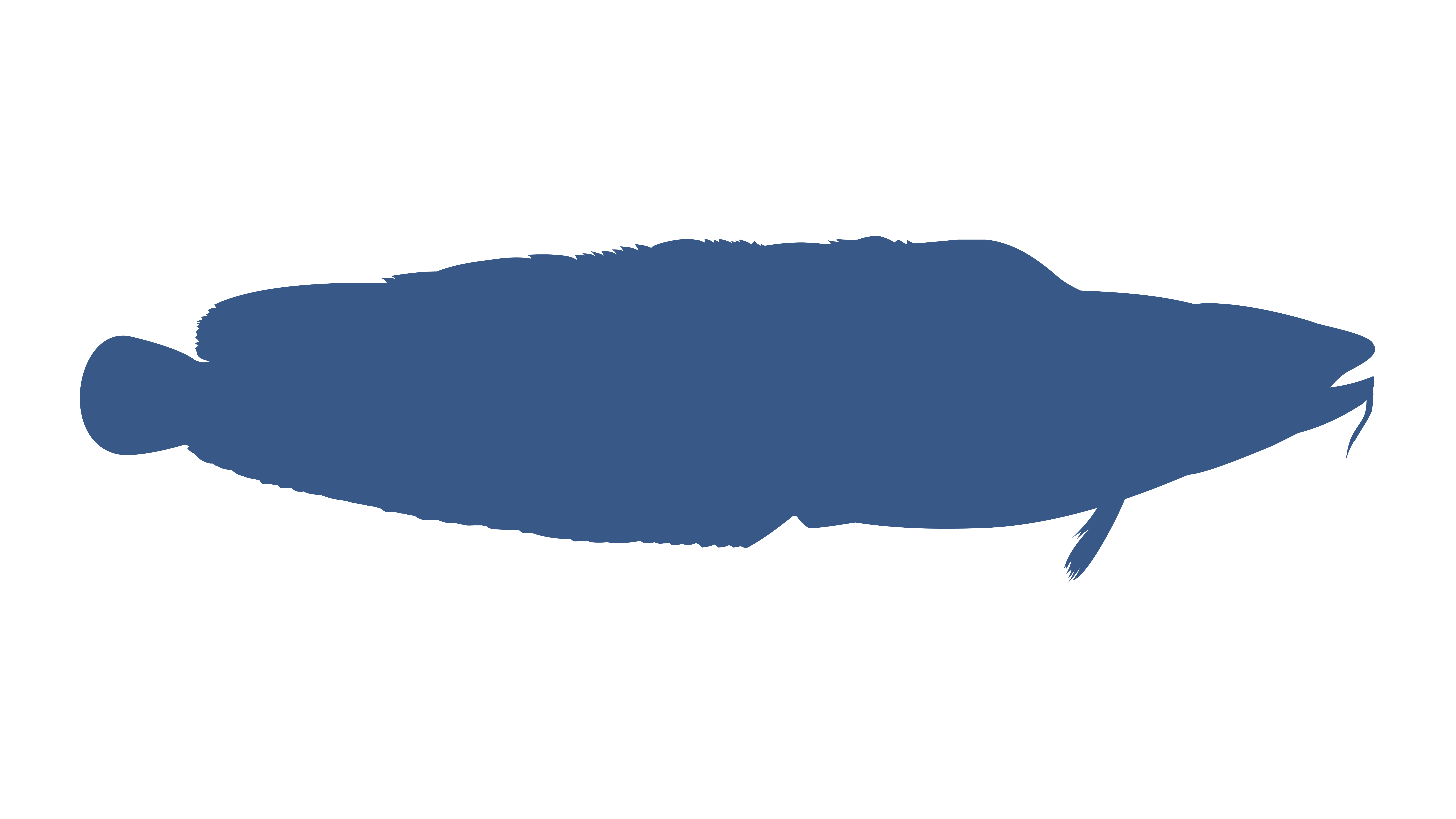 Tusk.png