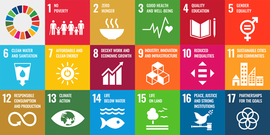 SENC-Fig_4_UNSDGs.png