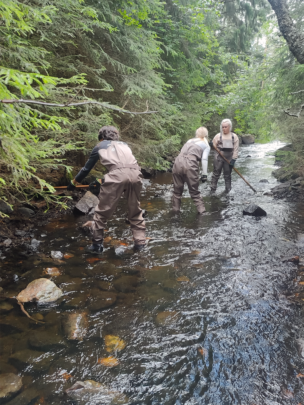 Improving habitat for fish2_1200.png