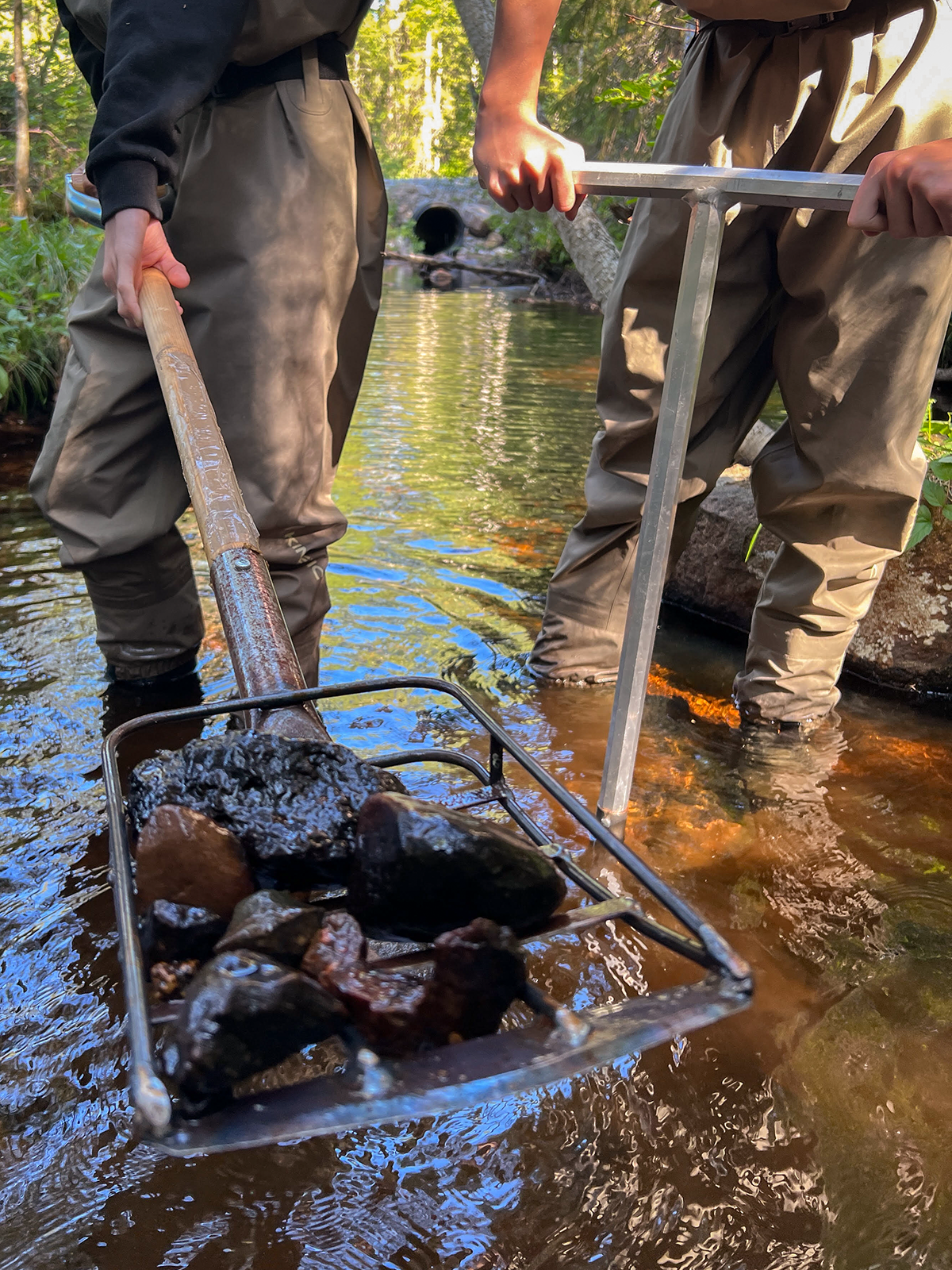 Improving habitat for fish_1200.png