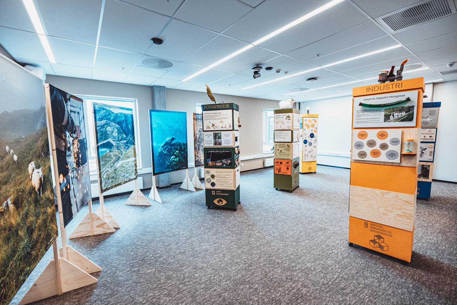 exhibition 1200.jpg