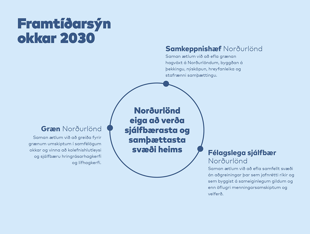 Vår visjon 2030