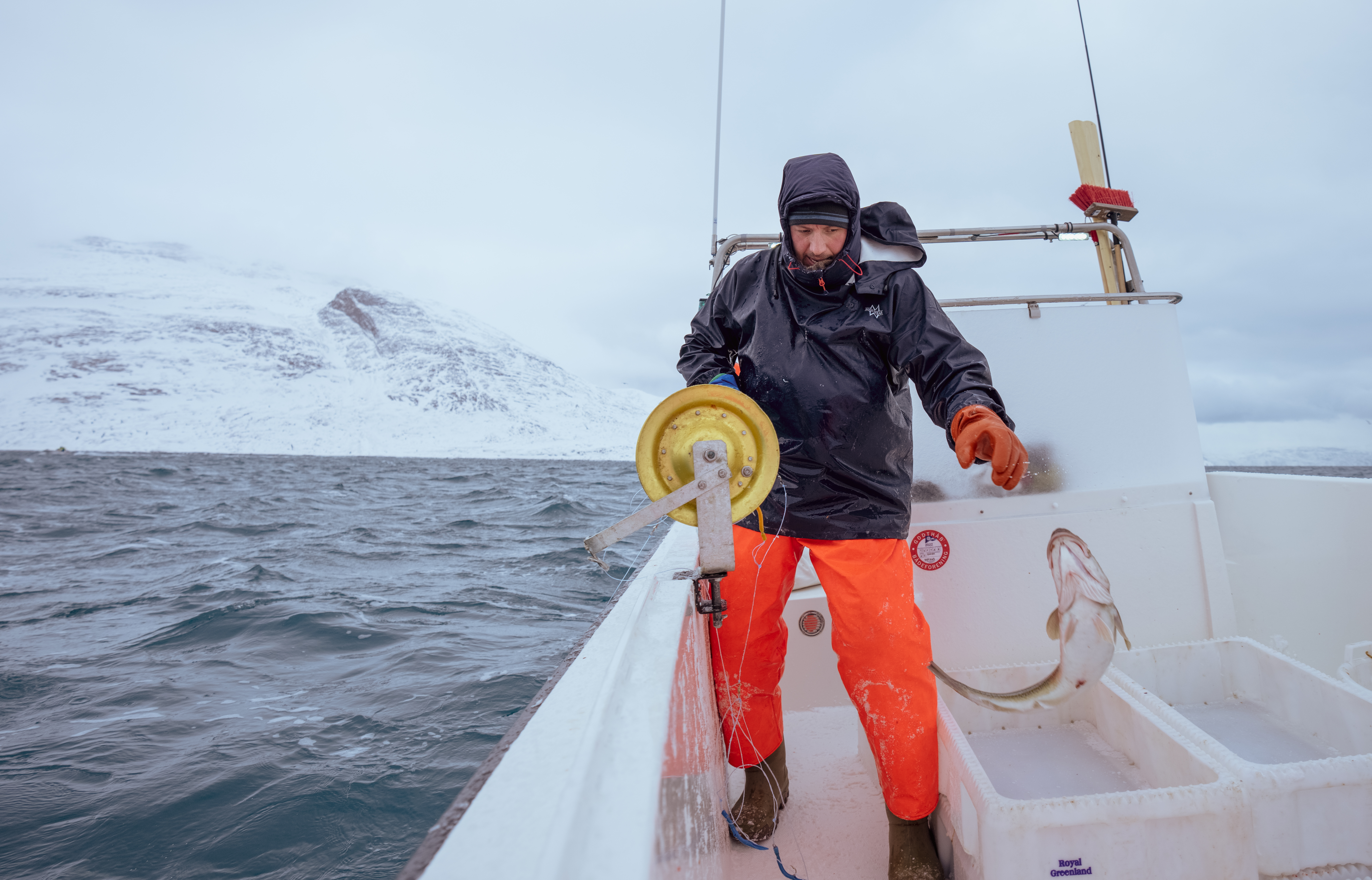 online-Vesterålen - Slaying the catch-Fredrik Ahlsen - Visit Norway.png