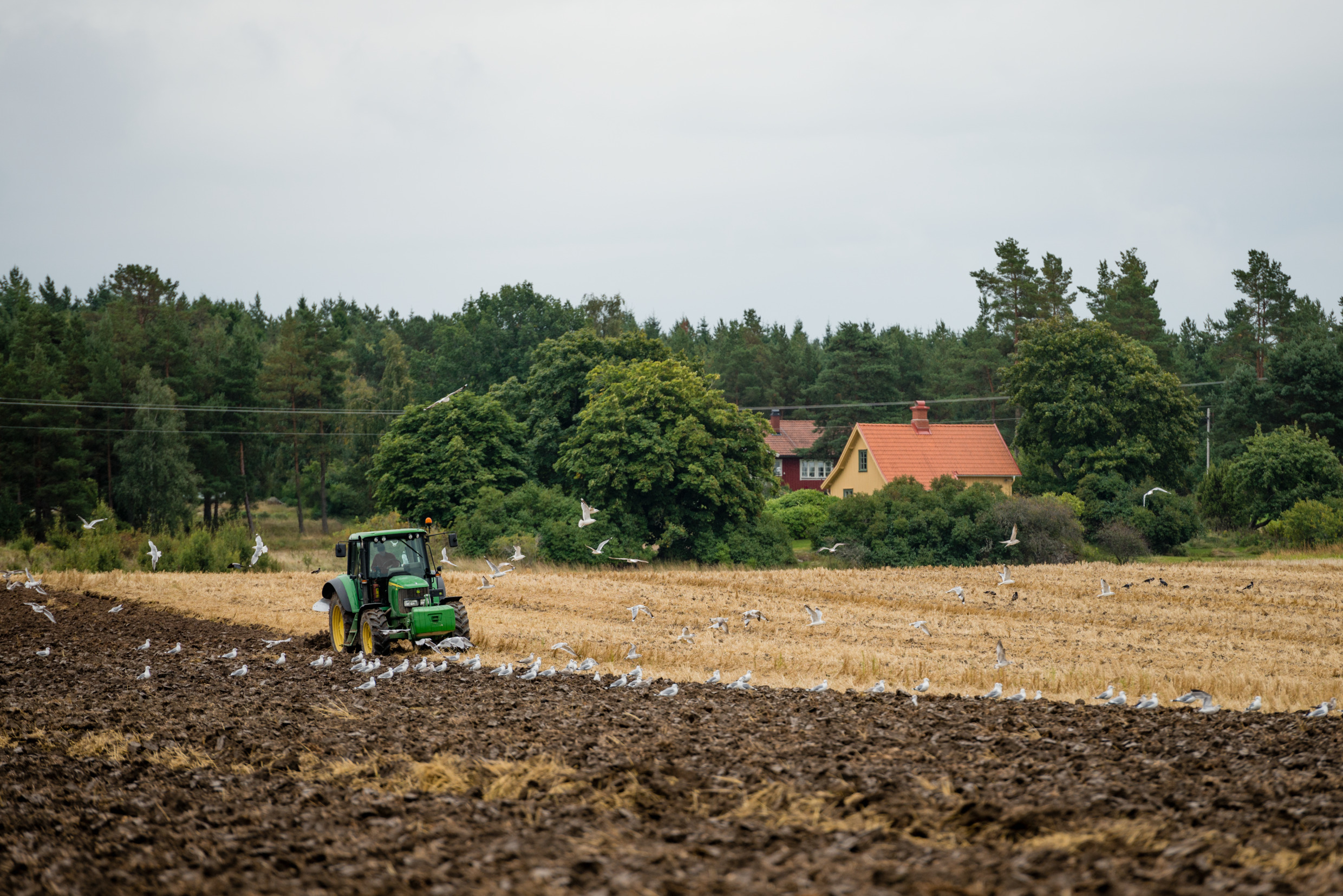 helena_wahlman-agriculture-3082.jpg