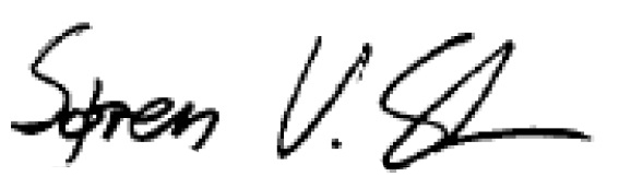 Ravisor1.png