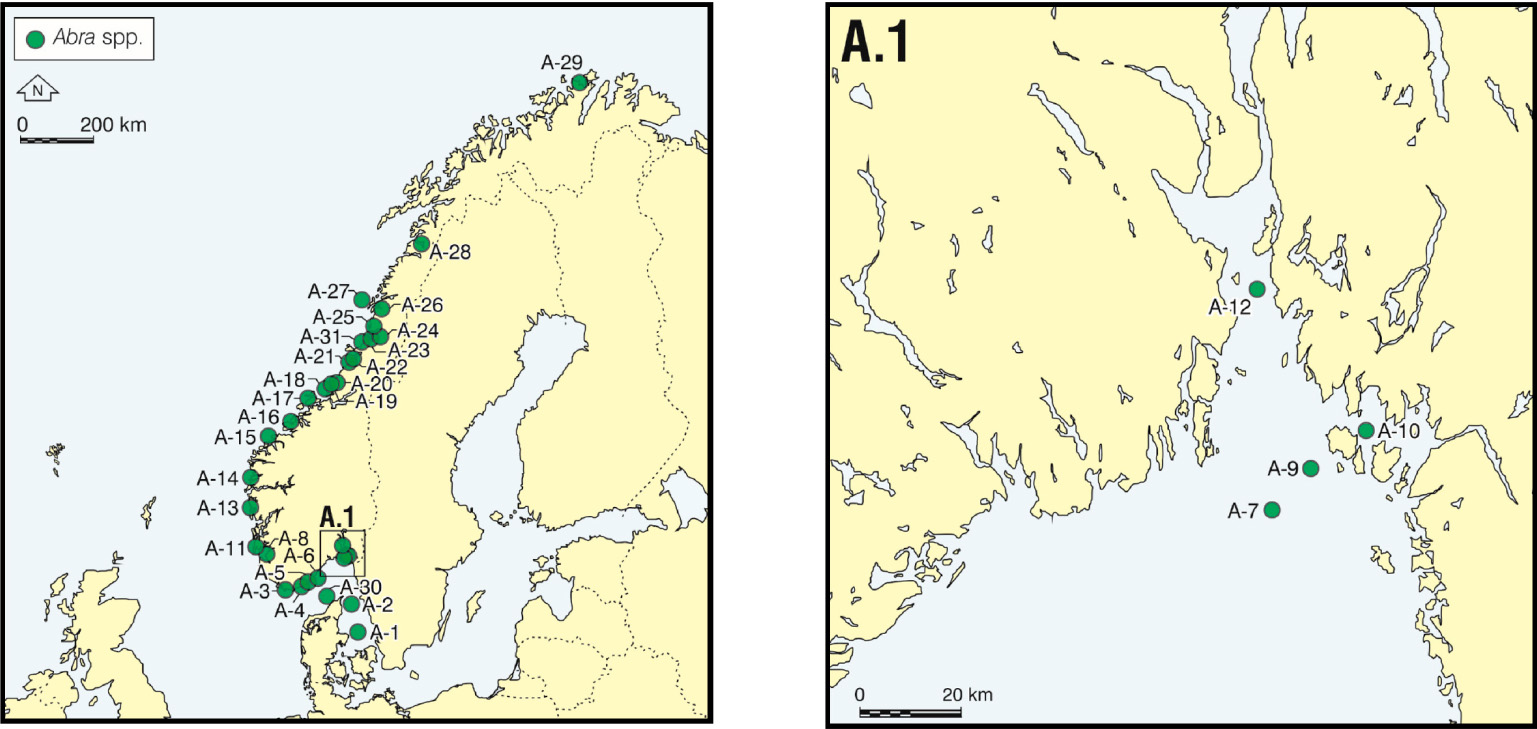 Graphical representation of samples