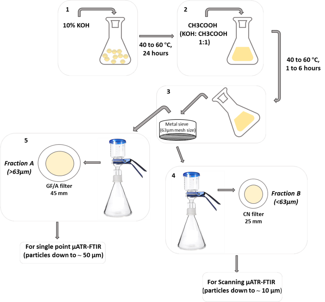 Figure showing proces of sample preparation