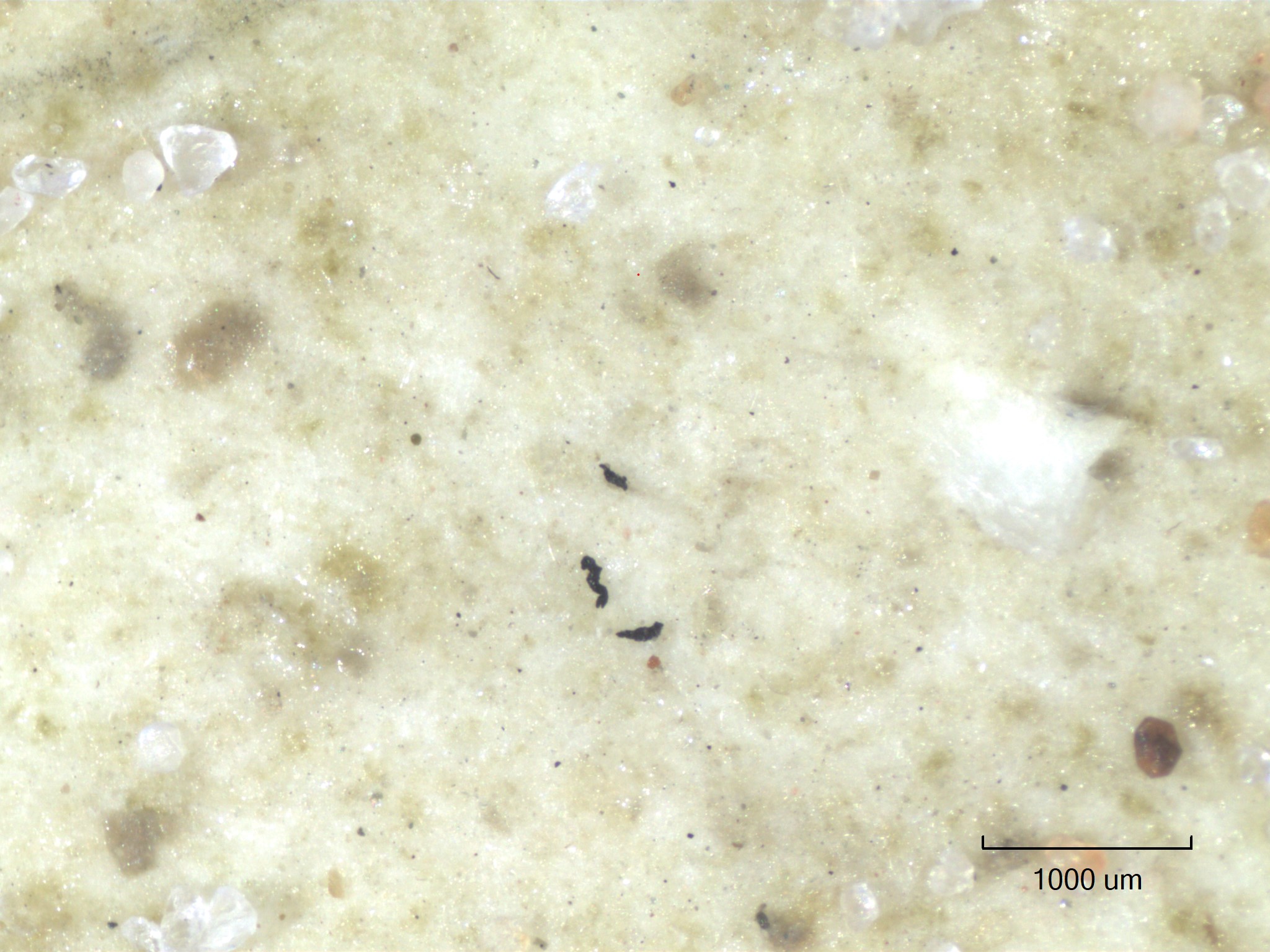 Close Up Photo