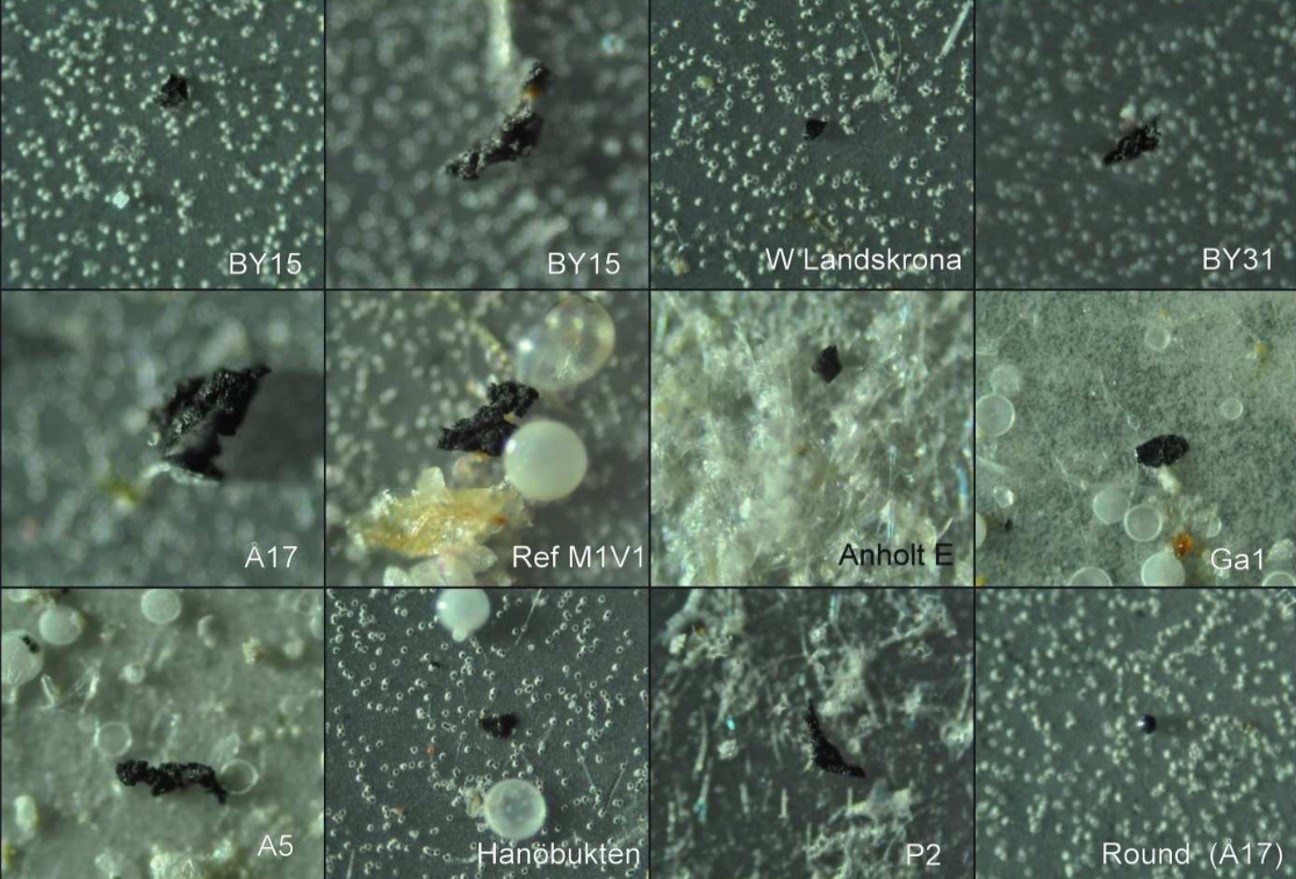 Microscope images