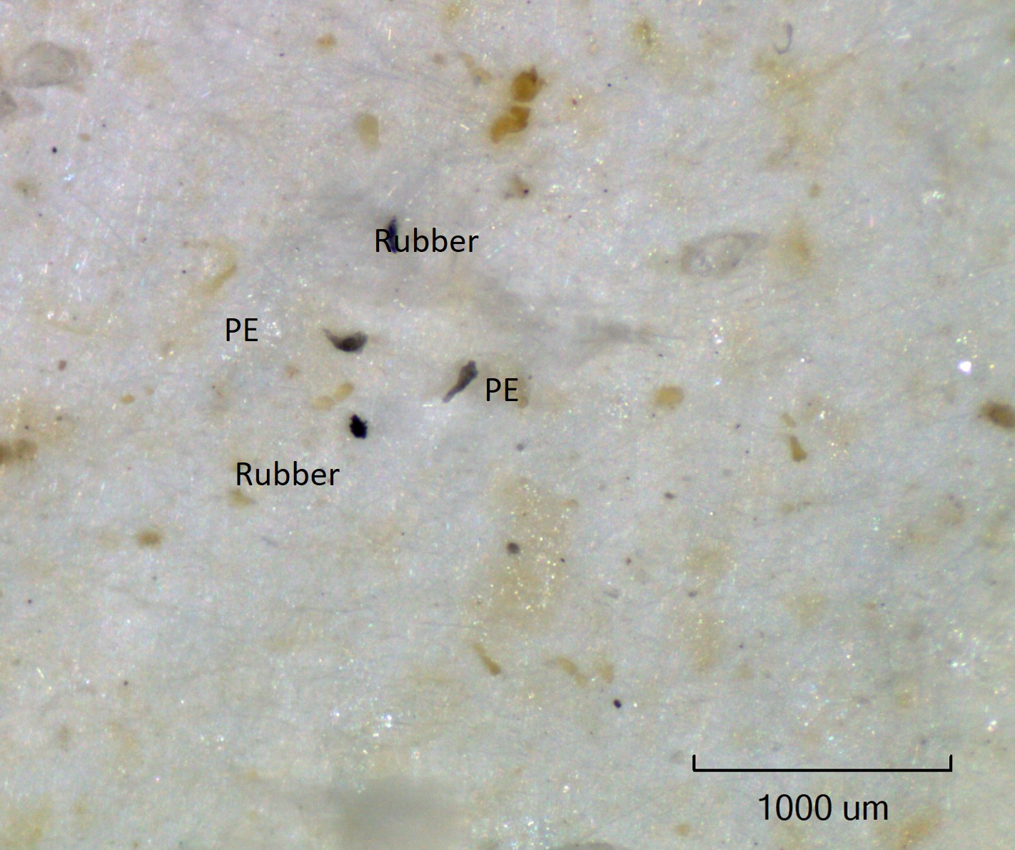 Microscope image, with Rubber and PE