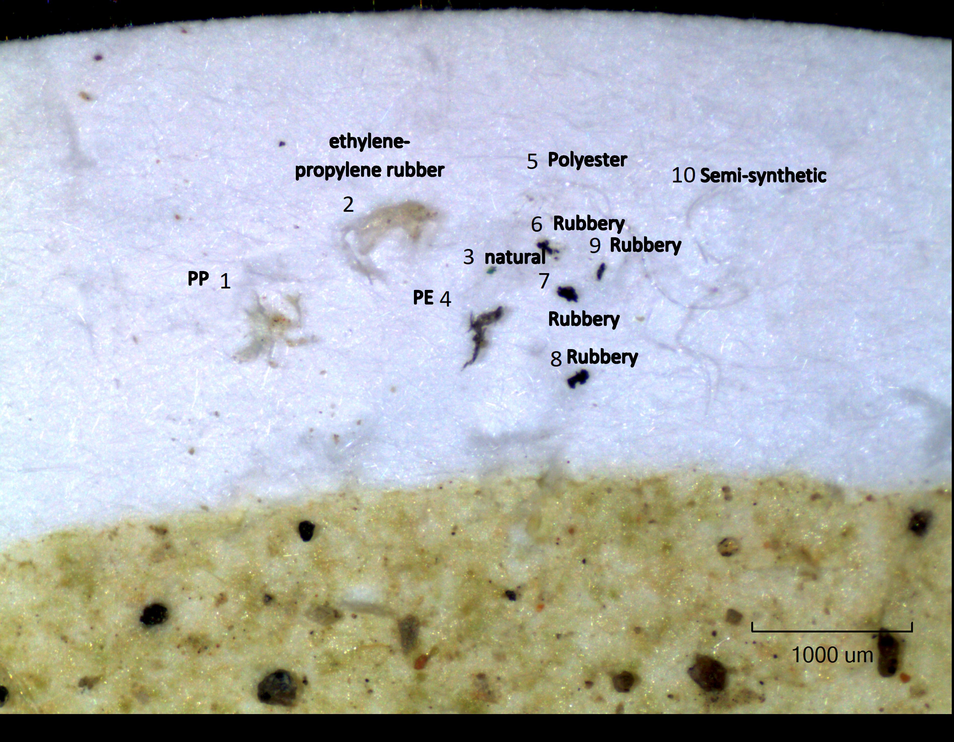 Microscope image