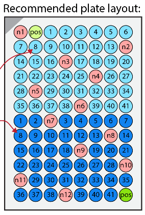 Figure showing recommended plate layout