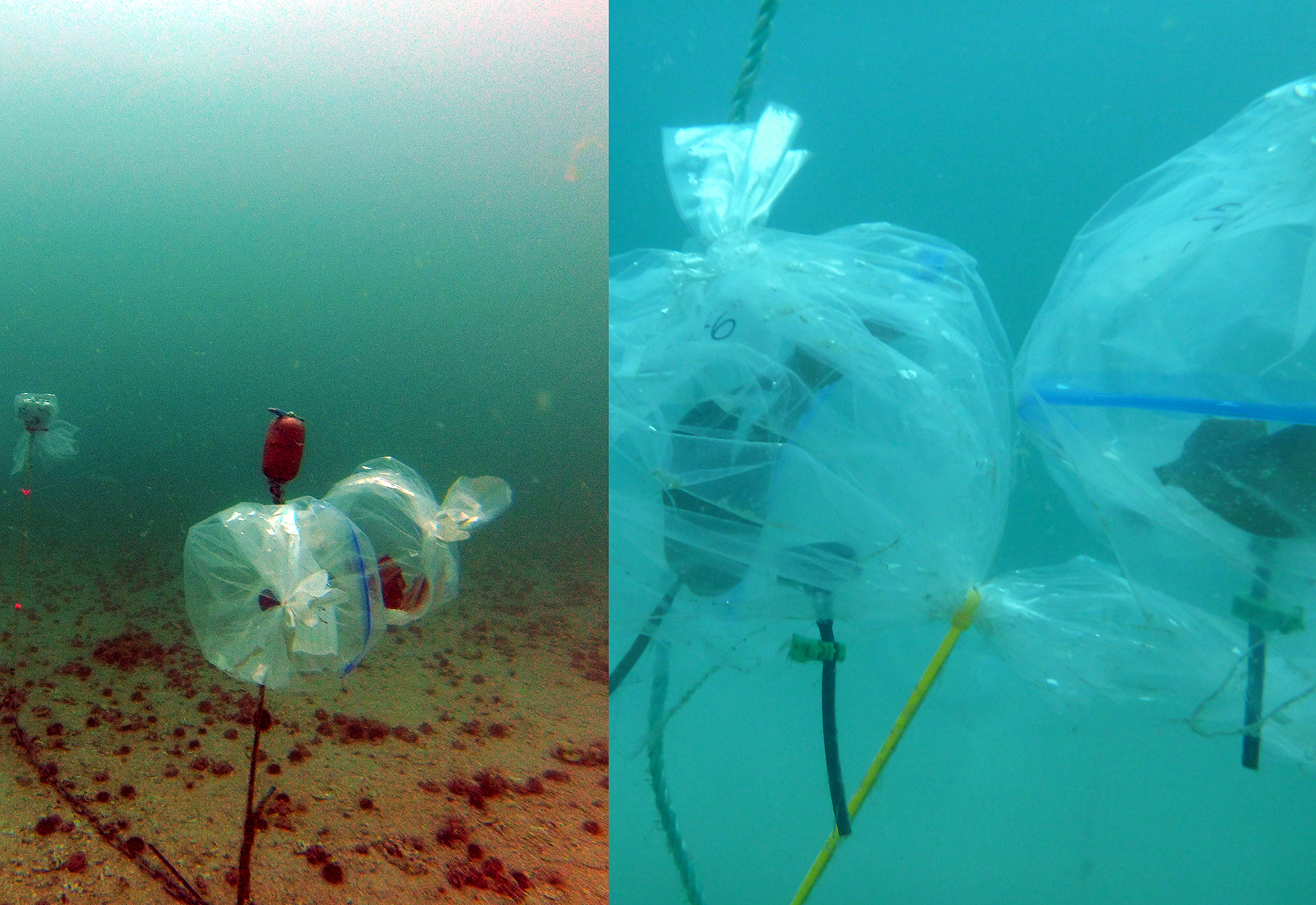 Two photographies showing the experiment.