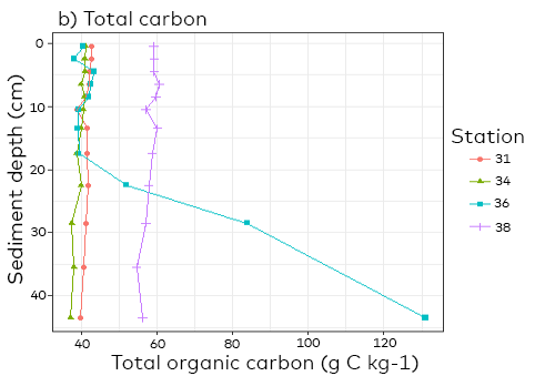Graph showing the concentration of total carbon