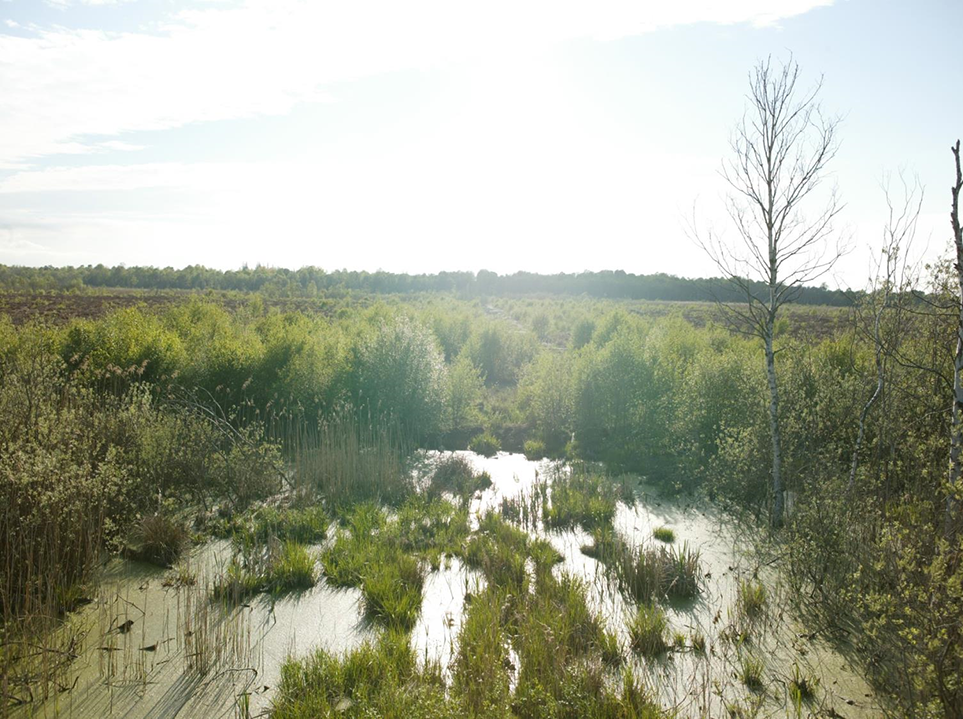 Photography of former
drained and excavated peat area