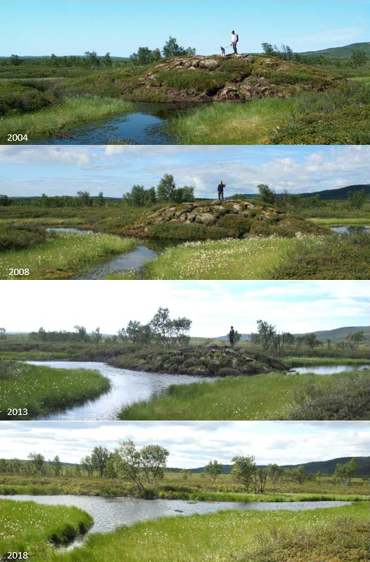 Combination of four photographies