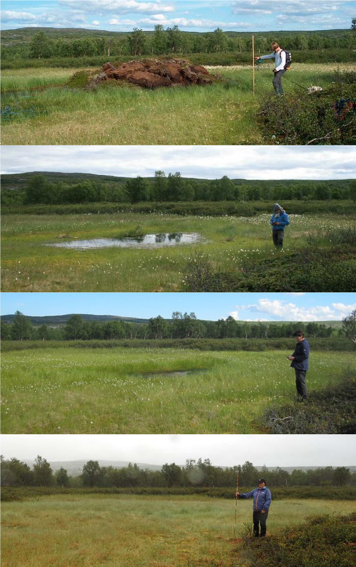 Combination of four photographies