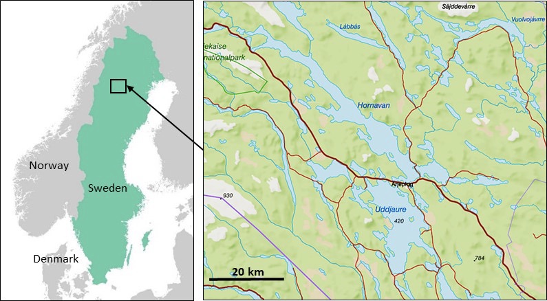 Map of Sweden and enlargement of area in Northern Sweden