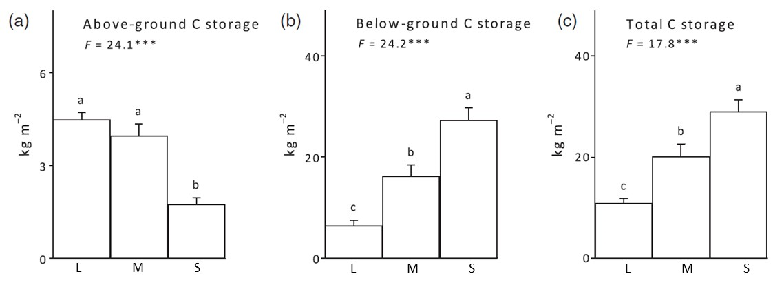 Boxplot graph showing carbon storage on islands in different size
classes