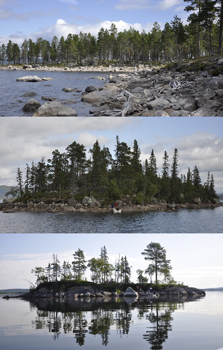 Collage of three photographies