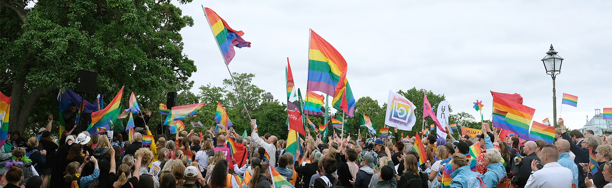 People with rainbow flags