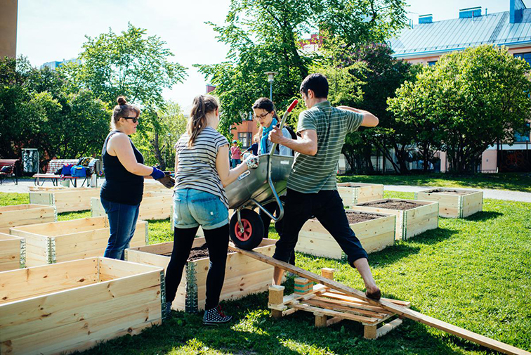 People working in community garden