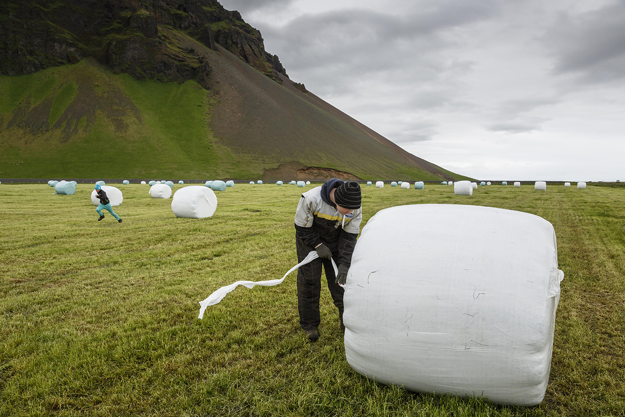Two boys working with straw bales in Iceland