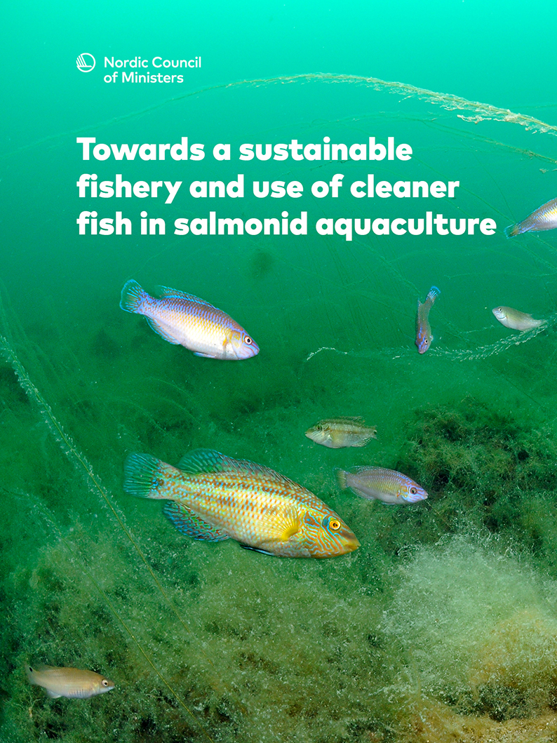 Towards a sustainable fishery and use of cleaner in salmonid aquaculture"