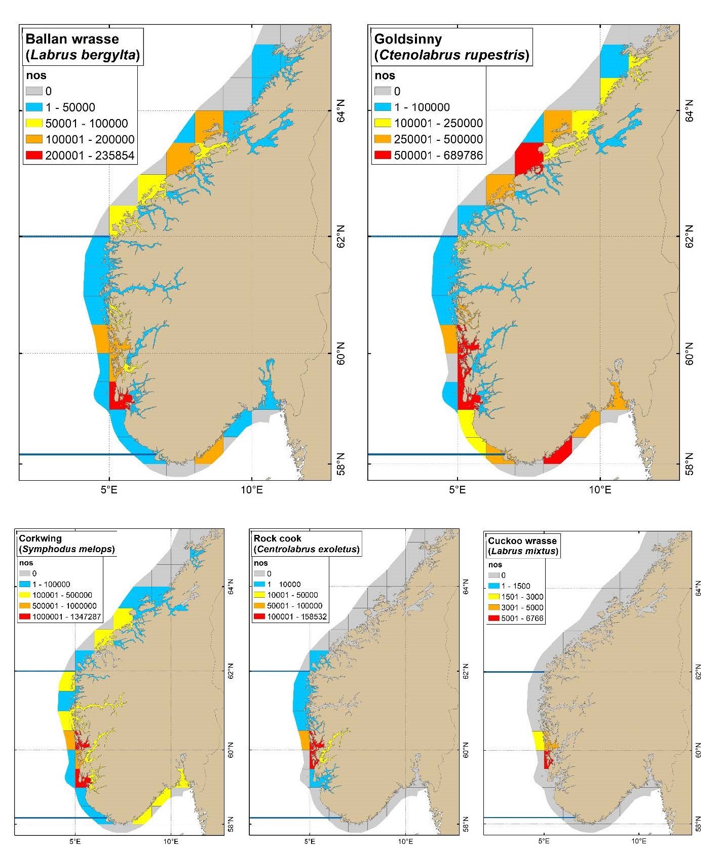 Maps showing geographical distribution
of reported Norwegian retained catches of the different wrasse species 