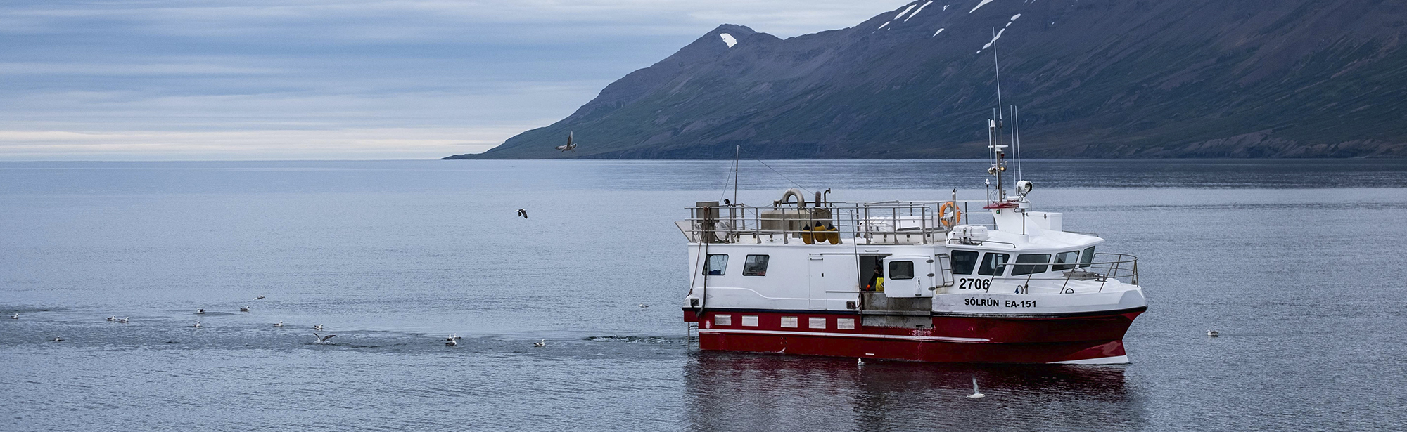 Fiskebåd