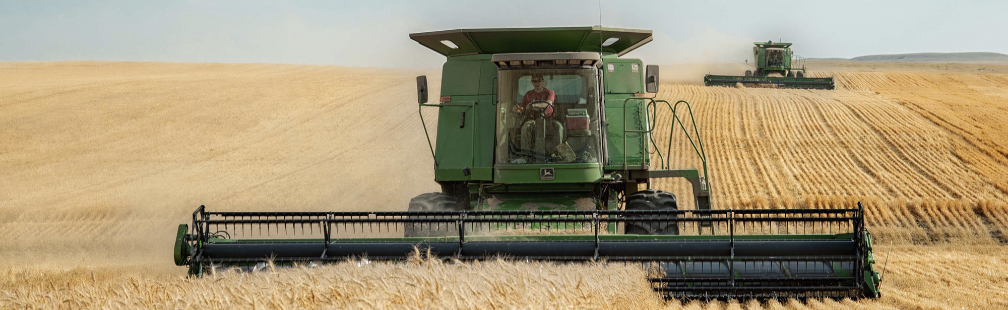 Wheat harvest
