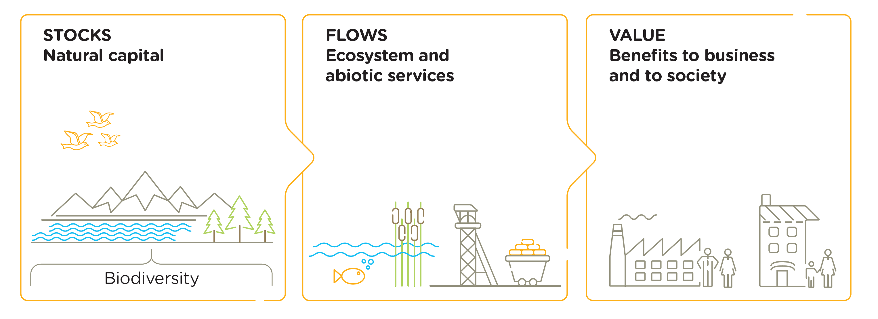 The figure illustrates the flow of resources from the stocks of natural capital to
business and society