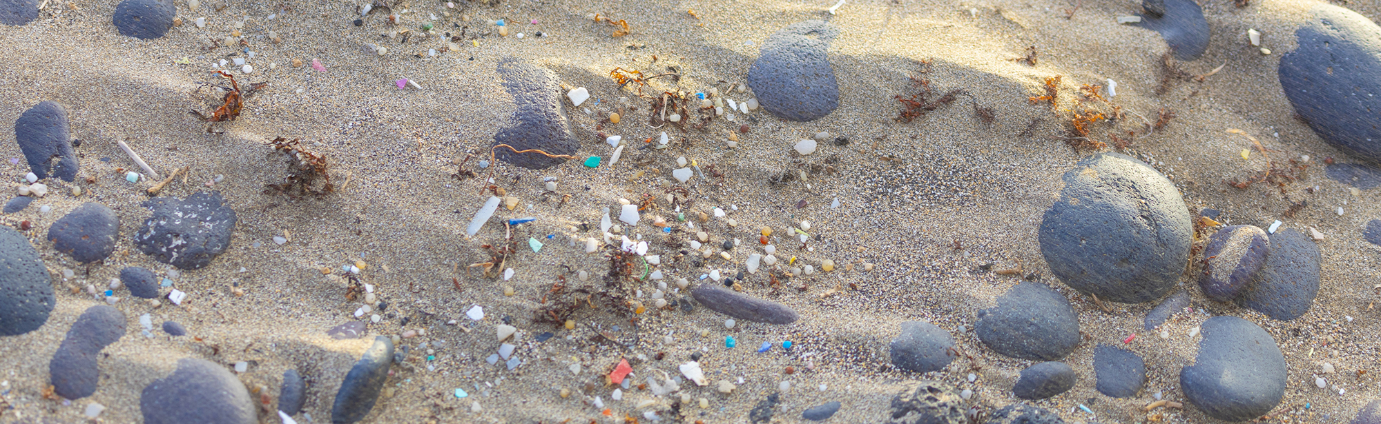 Microplastic pieces on beach