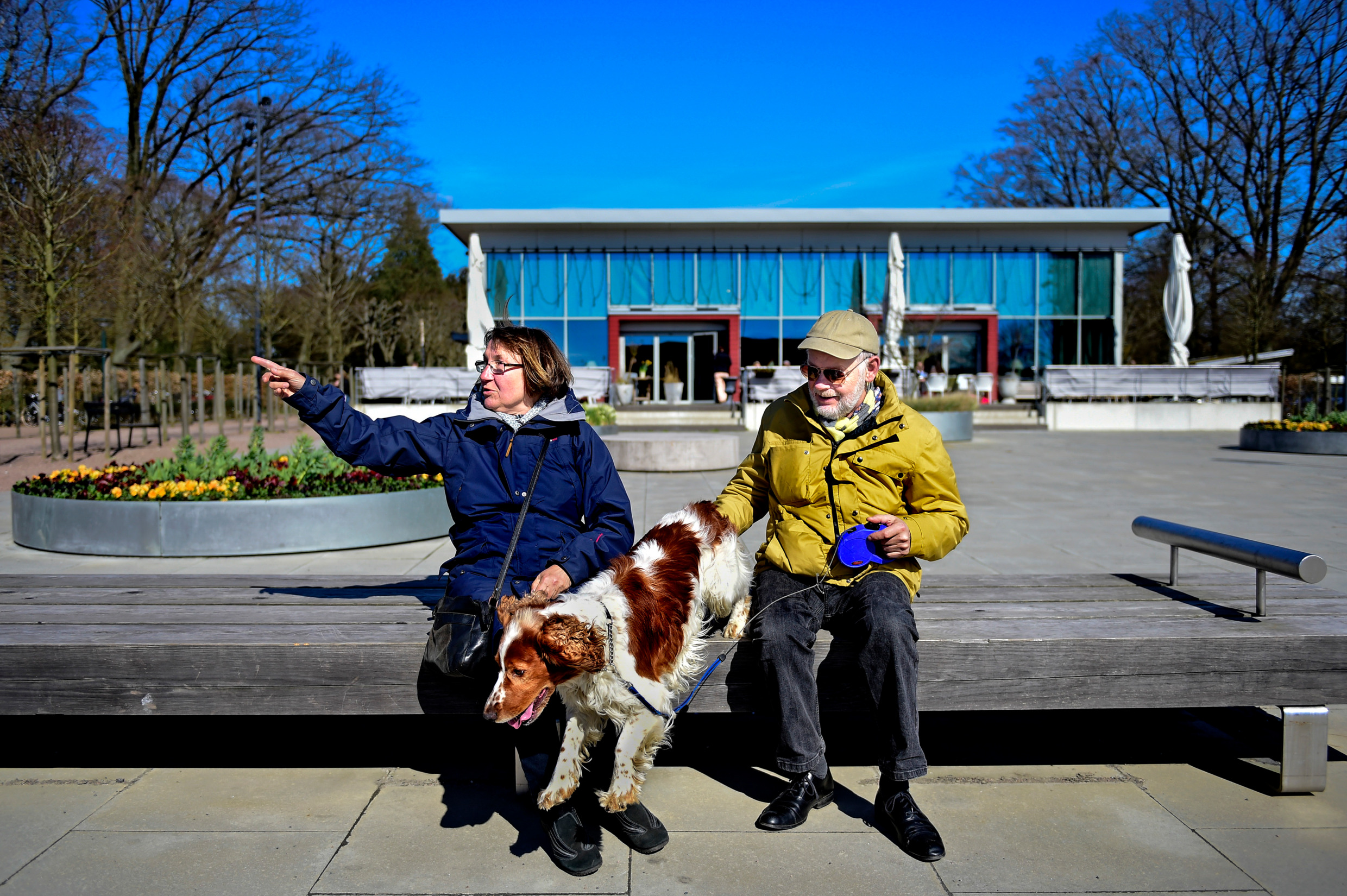 Woman, dog and man on bench