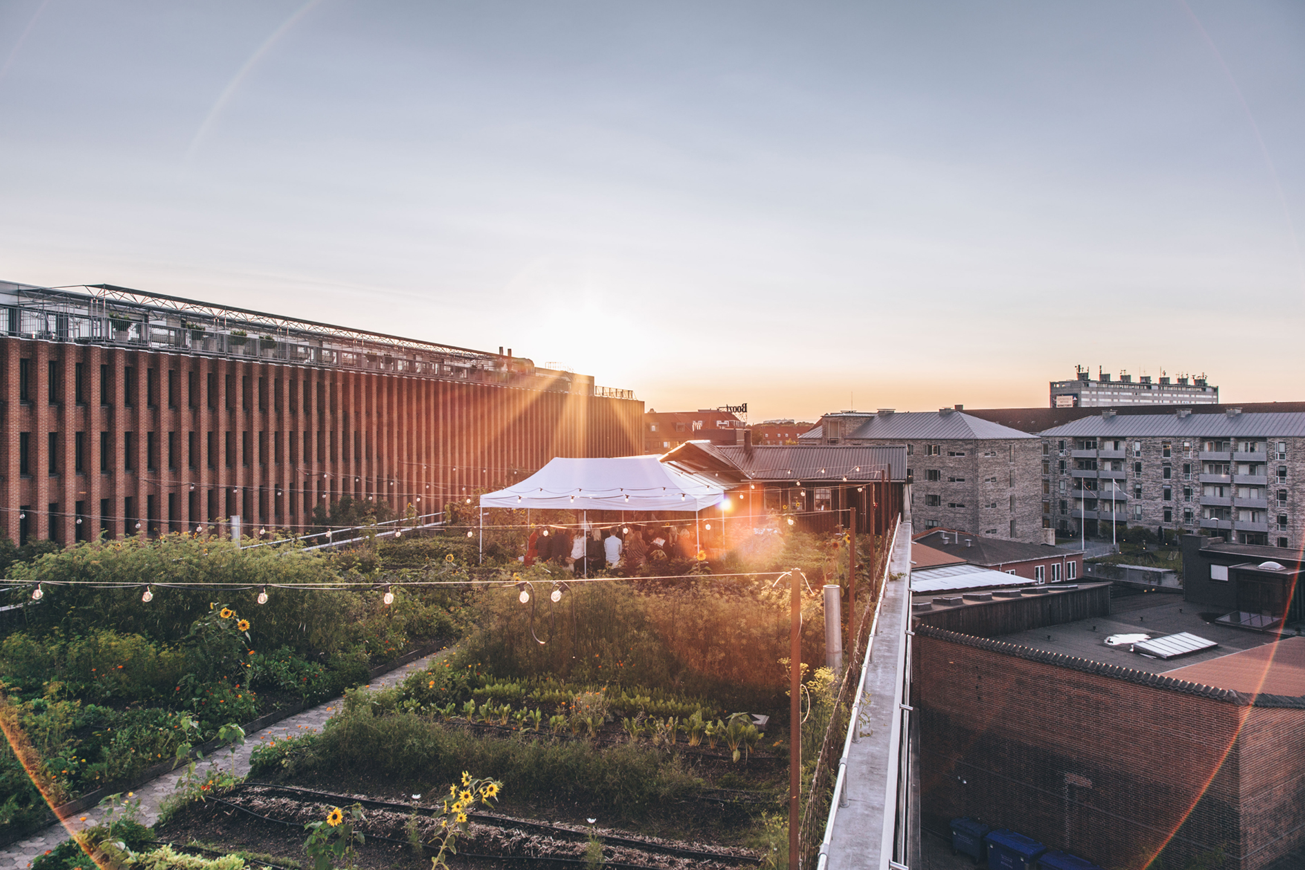 Greenhouse on rooftop, Copenhagen