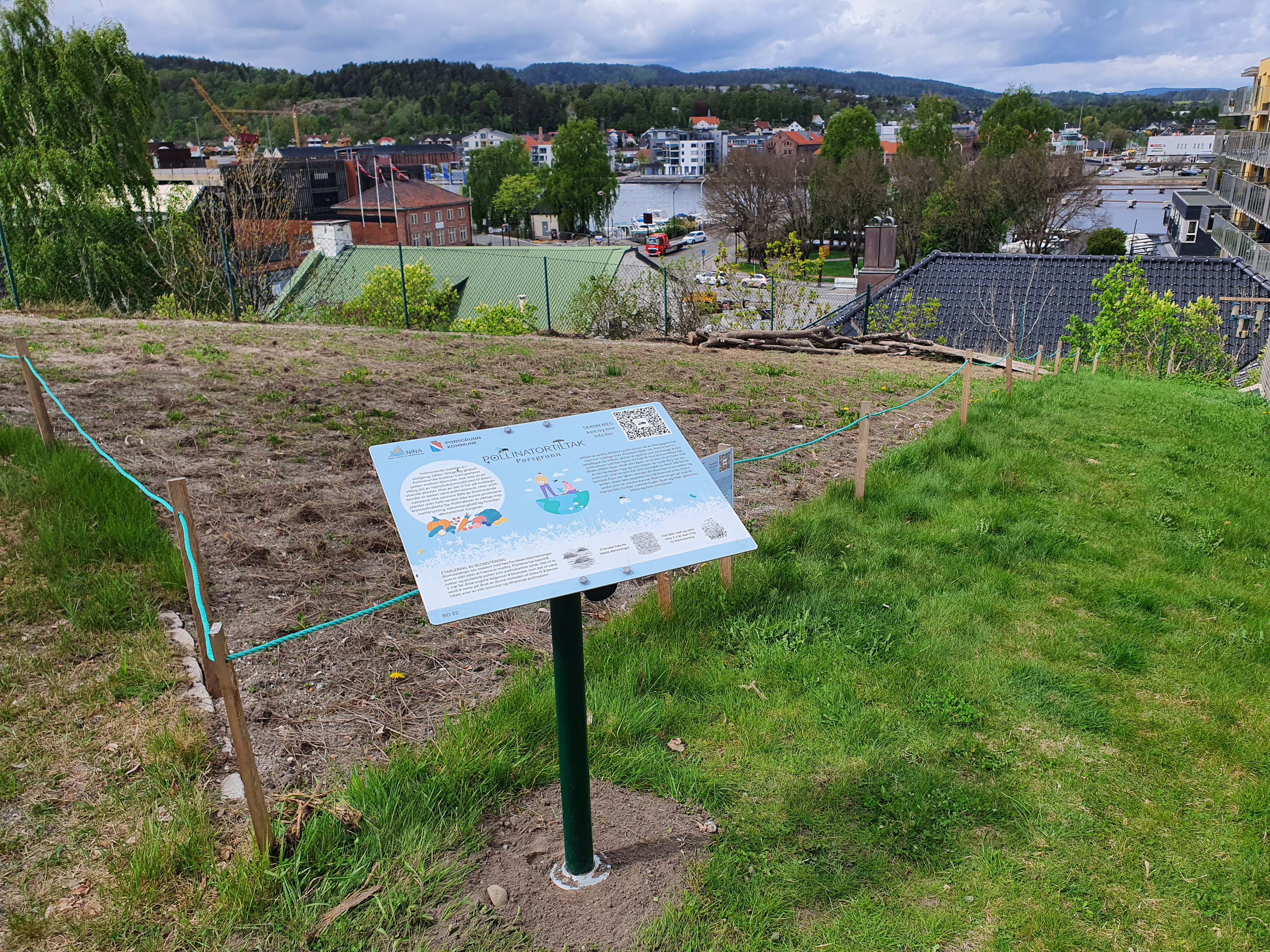 6_Establishment of flower meadows in Porsgrunn to help pollinators_Megan Nowell.jpg