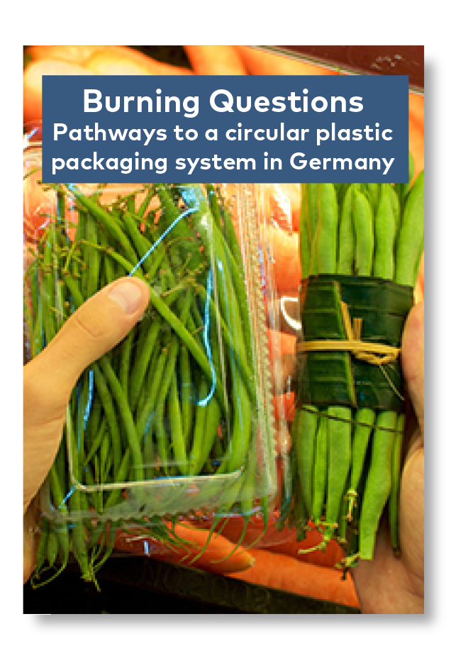 Systemiq_Burning_Questions_Cover.png