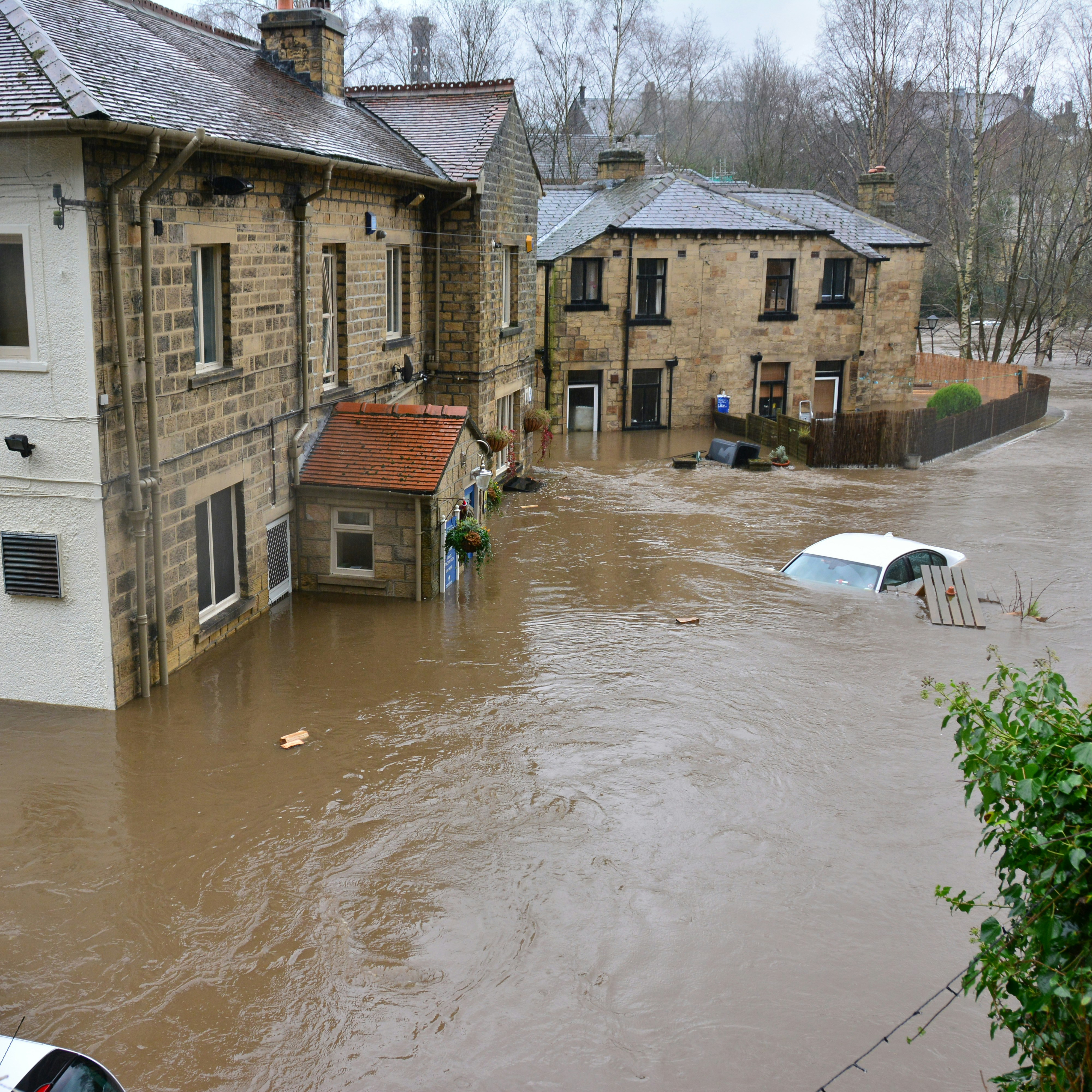 flood_2.jpg