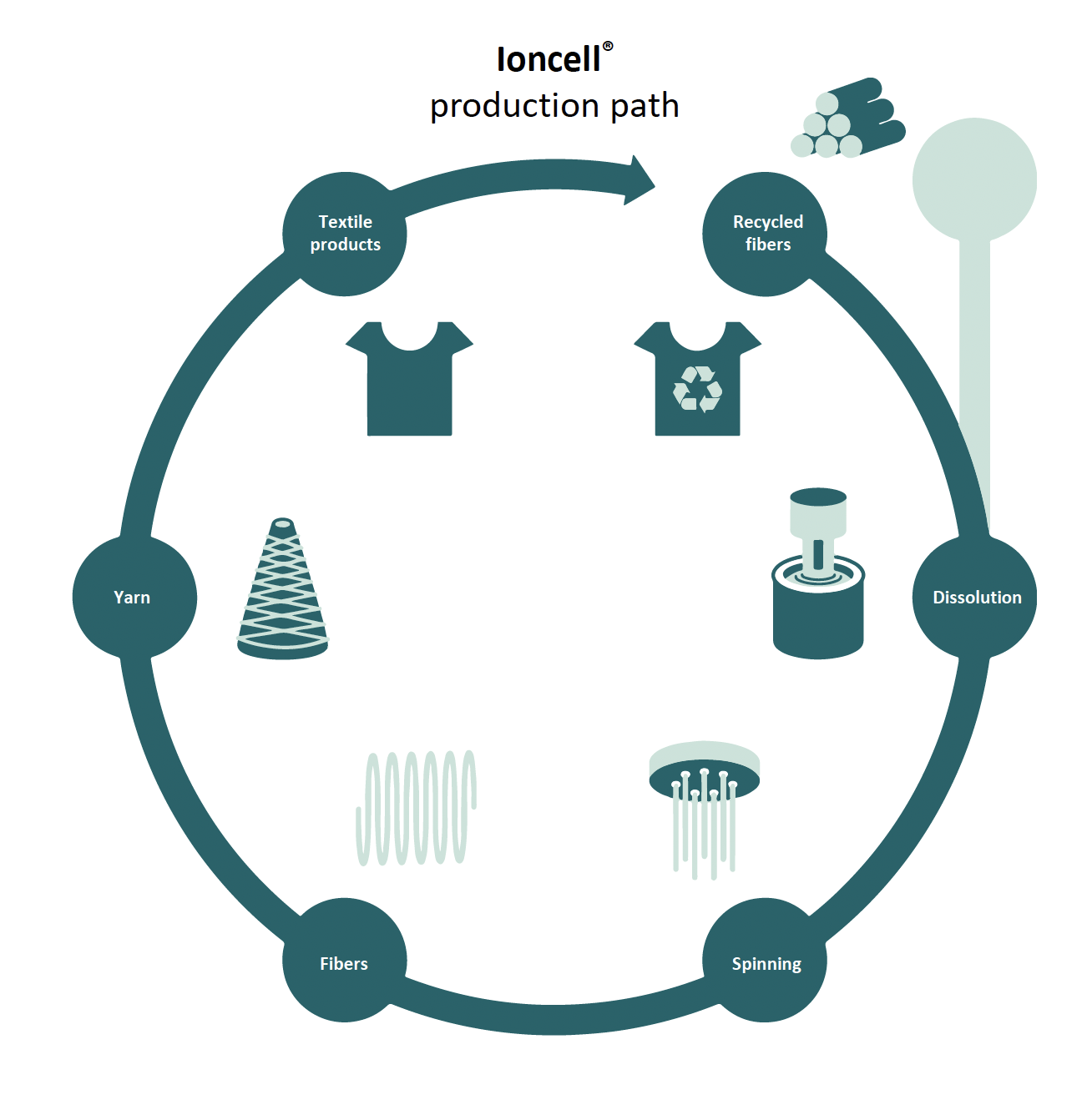 Infographic shows Ioncell production path  
