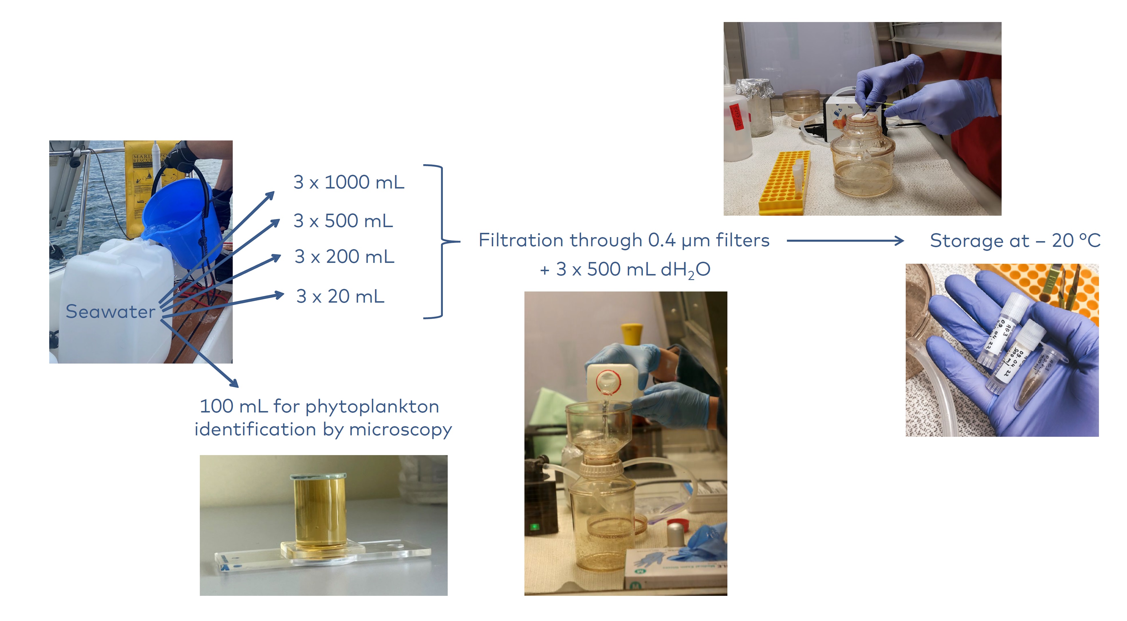 Figure 2_NY.jpg