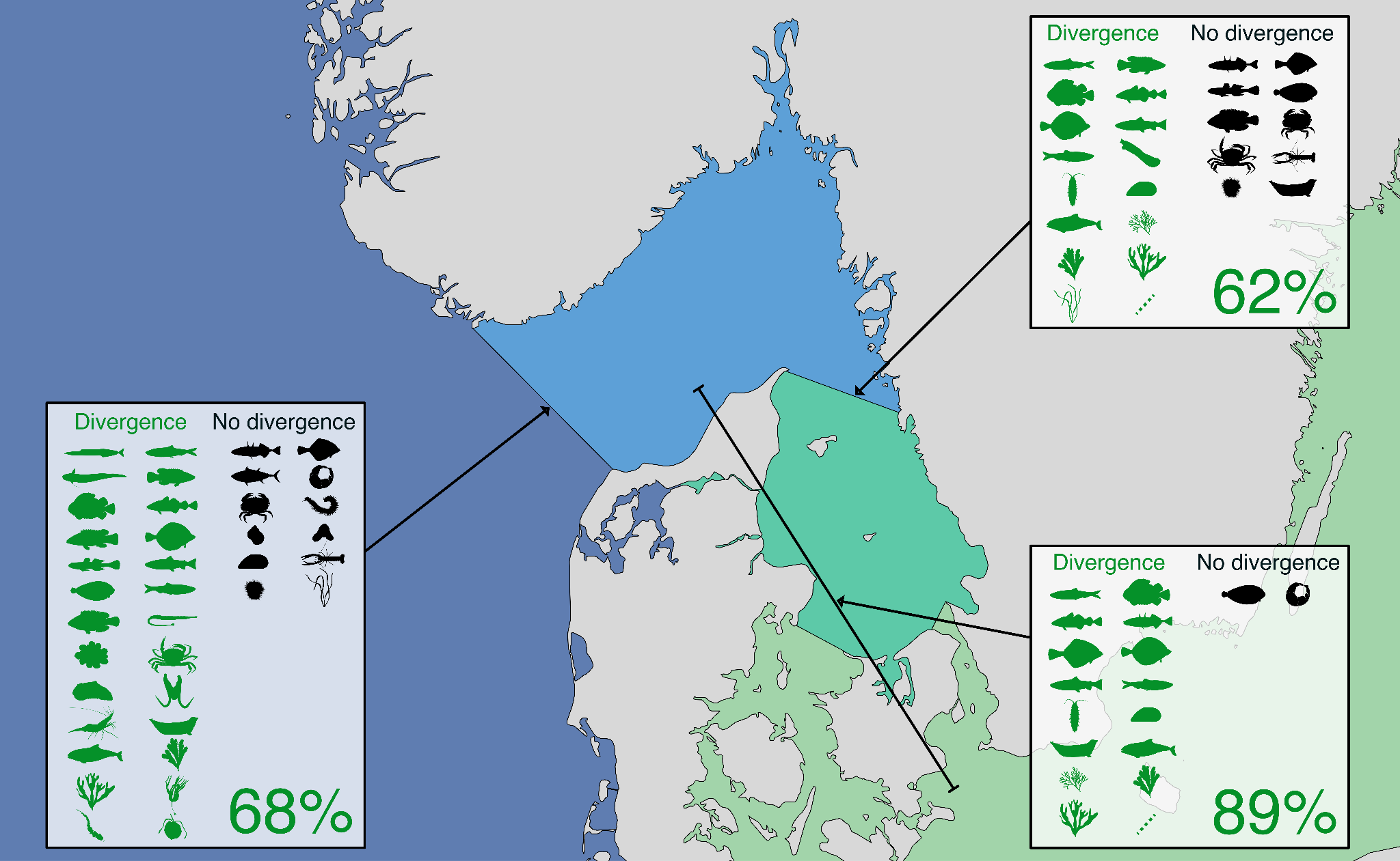 Fig_1.1_SAMSKAG.png
