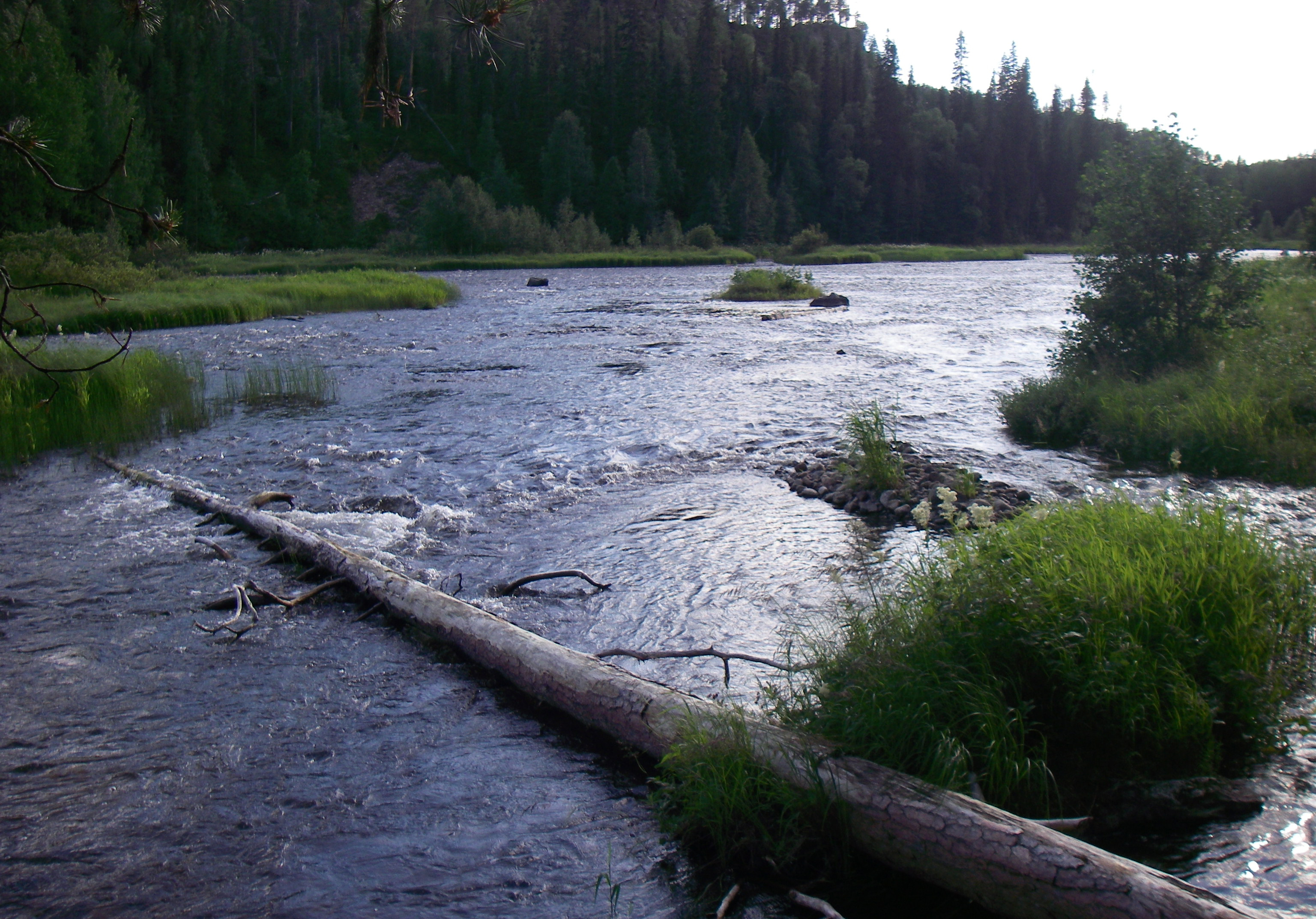 IMGP0789.JPG
