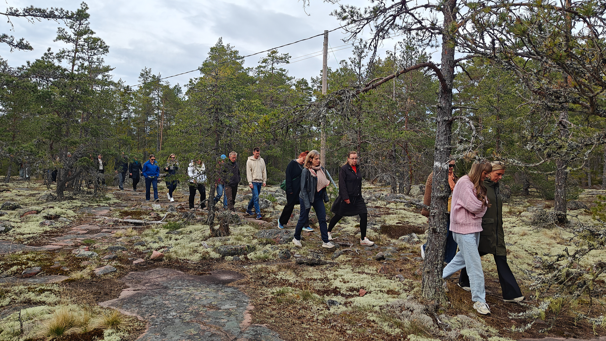 The picture is showing people walking on a path among trees.