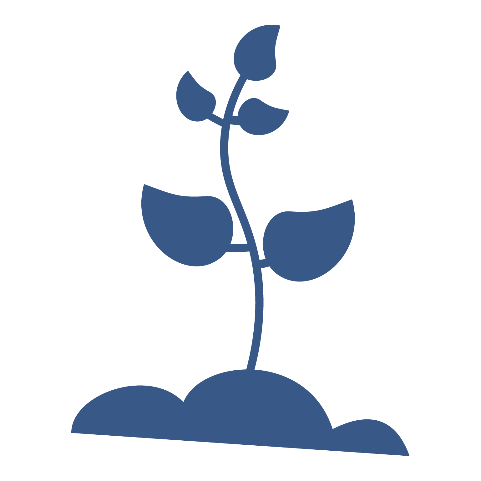 Icon describing theme 4