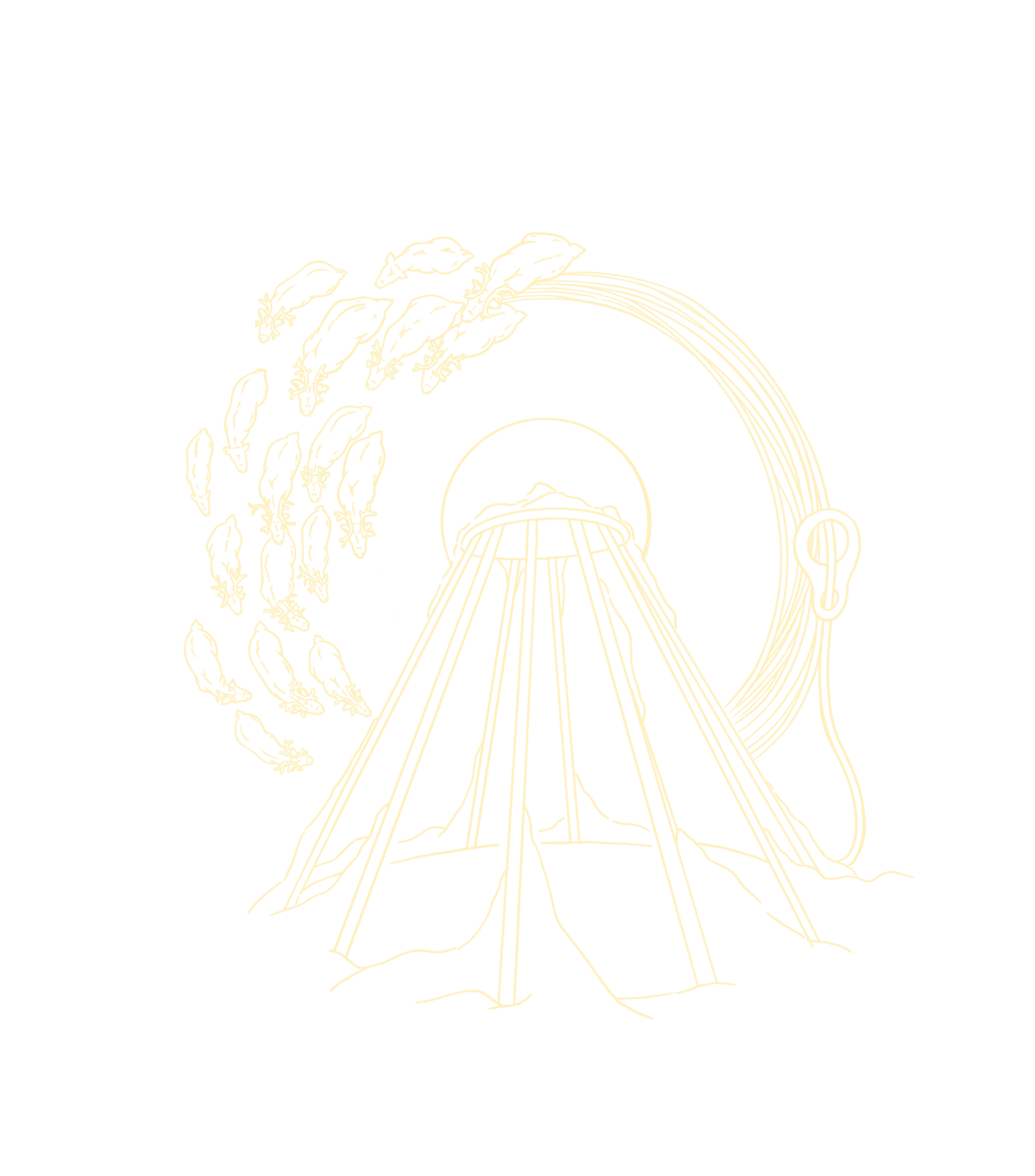 1x2lysgul.png