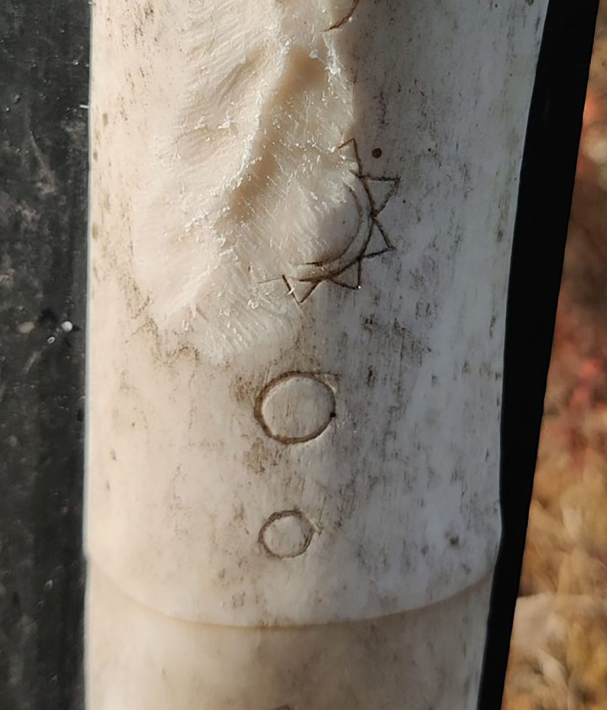 Figure 13